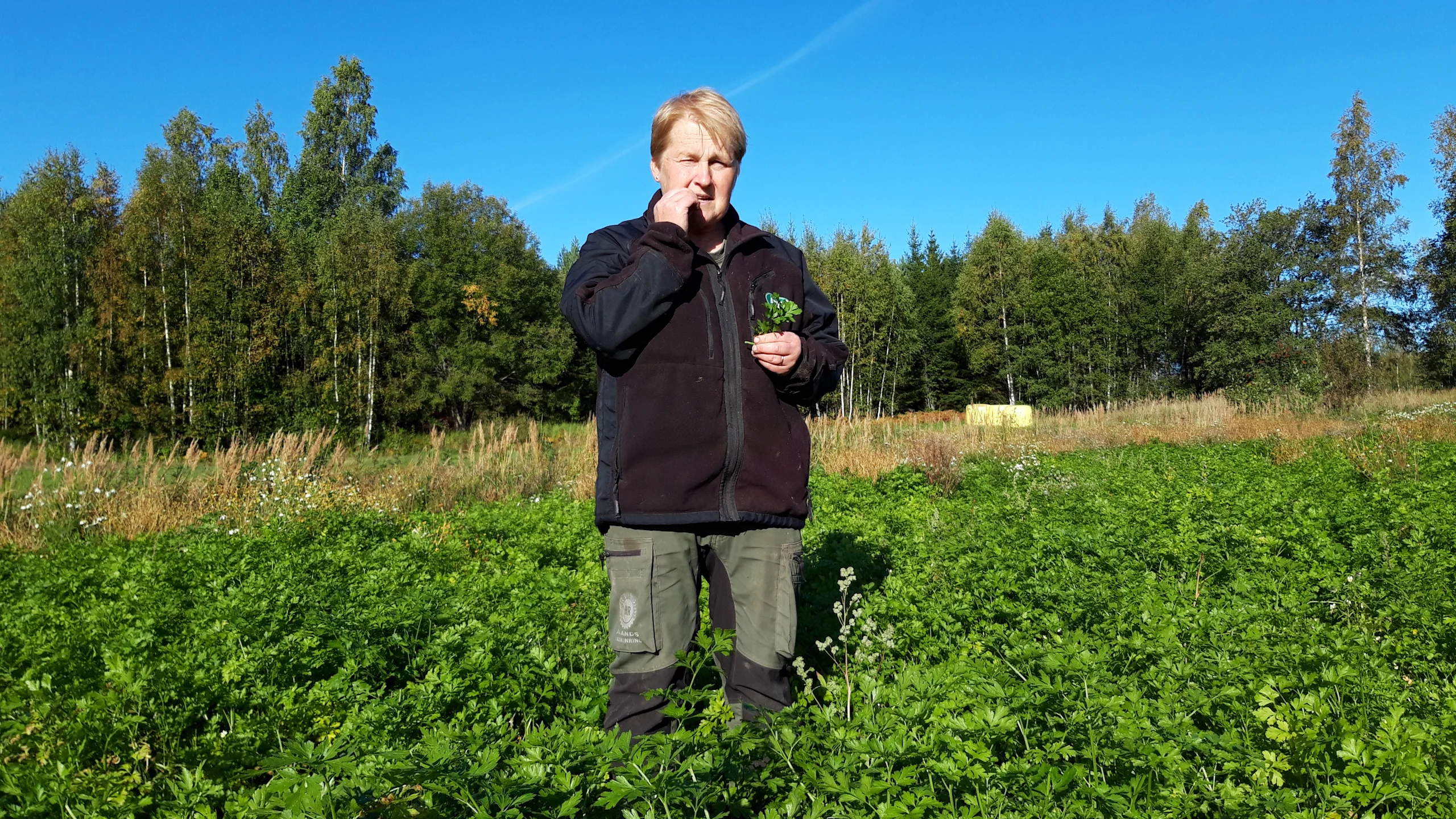 Viljelijä on oman itsensä herra. ”Saa olla ulkona luonnossa, ja maanviljely on erinomaista hyötyliikuntaa”, Carita Gustafsson nauraa.