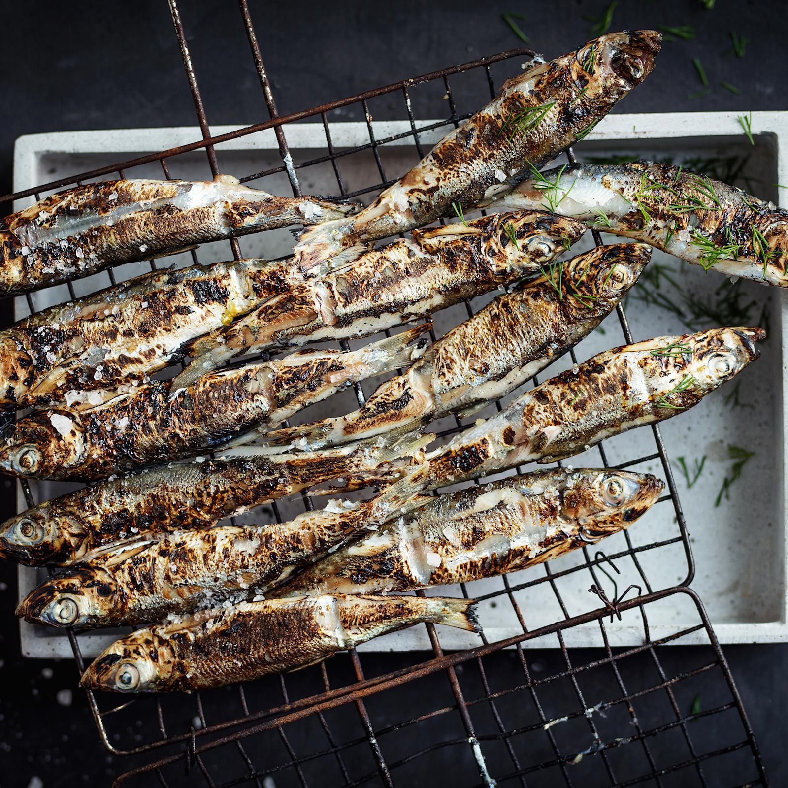 Isän halstratut silakat