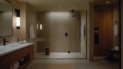 Expert Guide to Tub to Shower Conversion