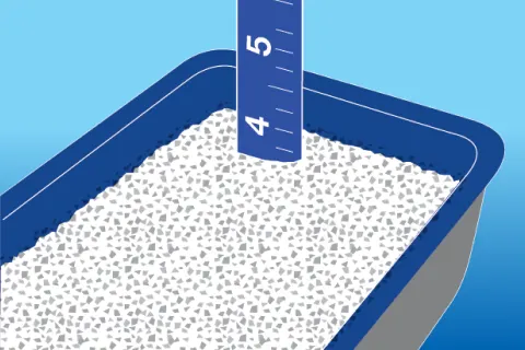 Fill your clean litter box with 2–3 inches of Fresh Step® litter.