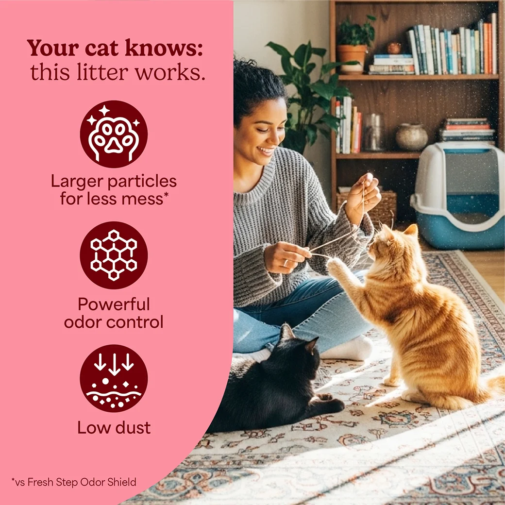 A woman playing with her cat. A pink panel on the right side with claims: larger particles, powerful odor control, low dust