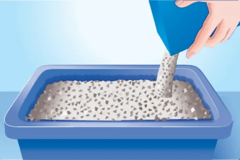 Refreshing the litterbox with more litter