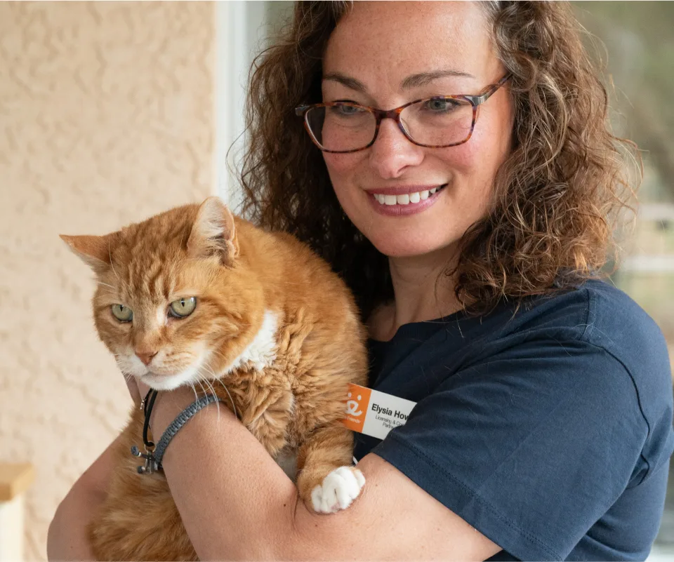 Vet tech holding an orange cat
