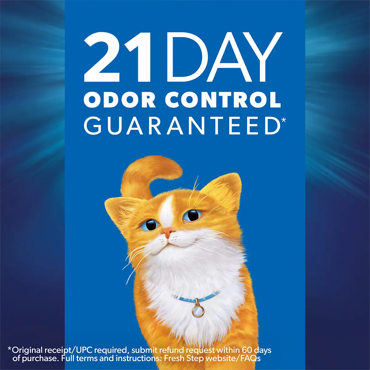 21 day odor control guaranteed, an orange cat