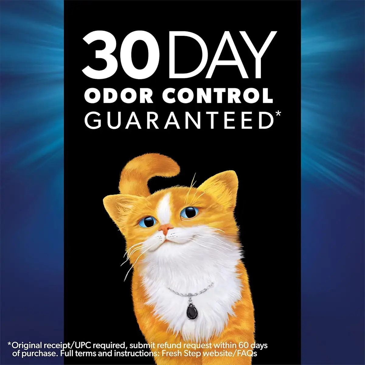 30 day odor control guaranteed, an orange cat