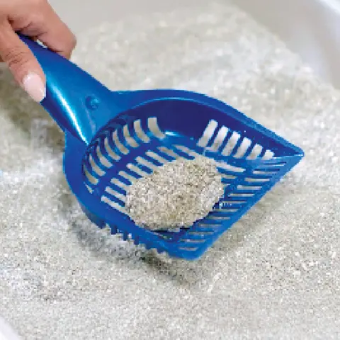 Blue scooper filtering litter box