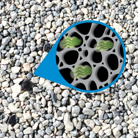 odor eliminating carbon