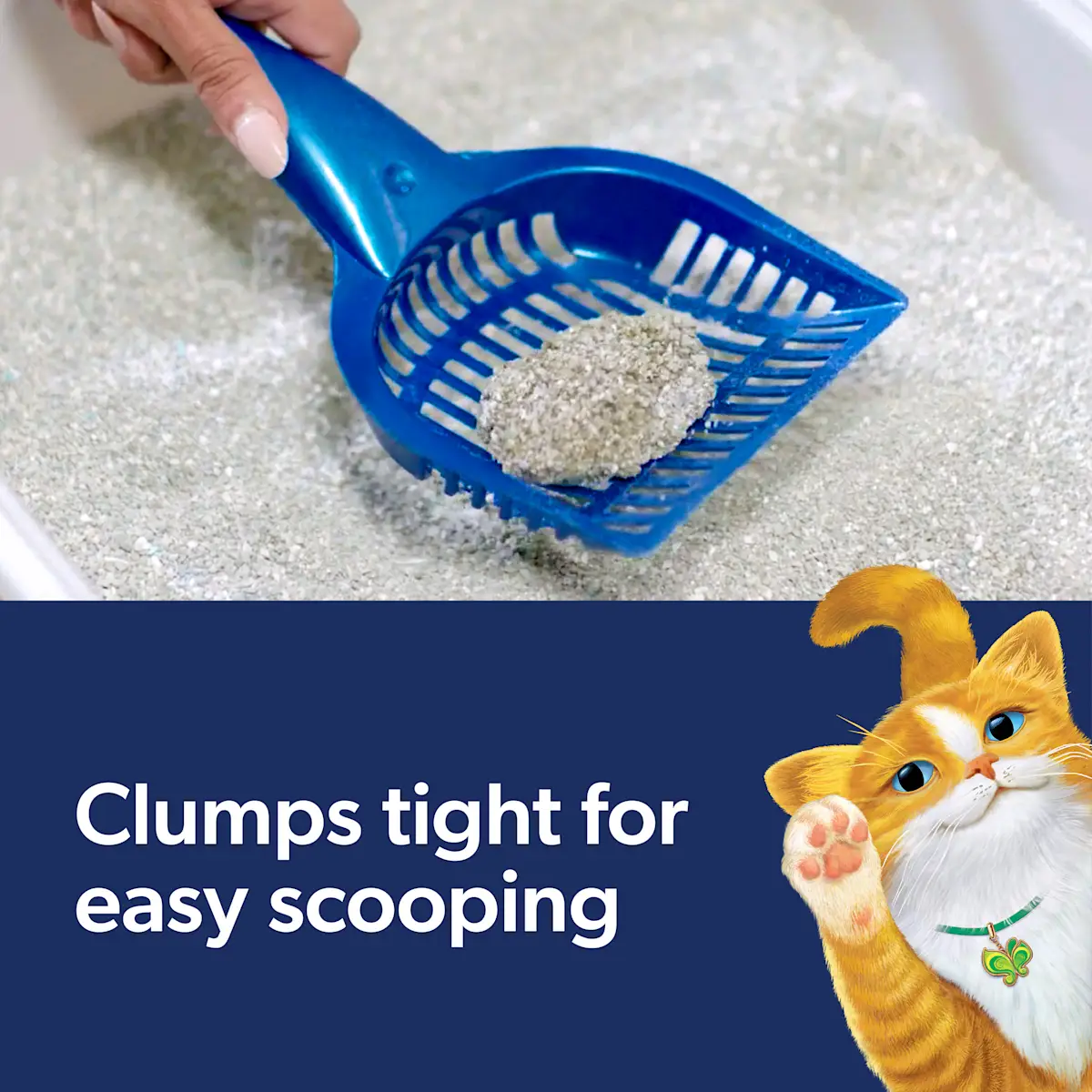 Clumps tight for easy scooping, a litter scooper and an orange cat