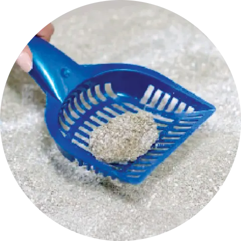 Blue scooper with cat feces