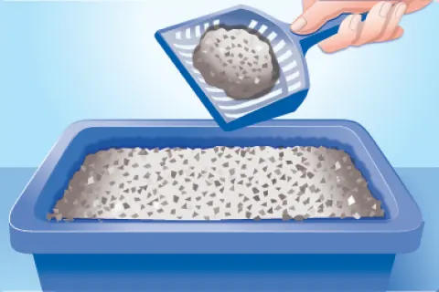 Removing a clump of litter