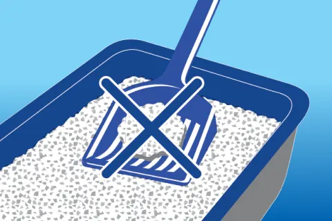 Empty the entire litter box as needed, usually about once a week. Dispose of used litter in trash.