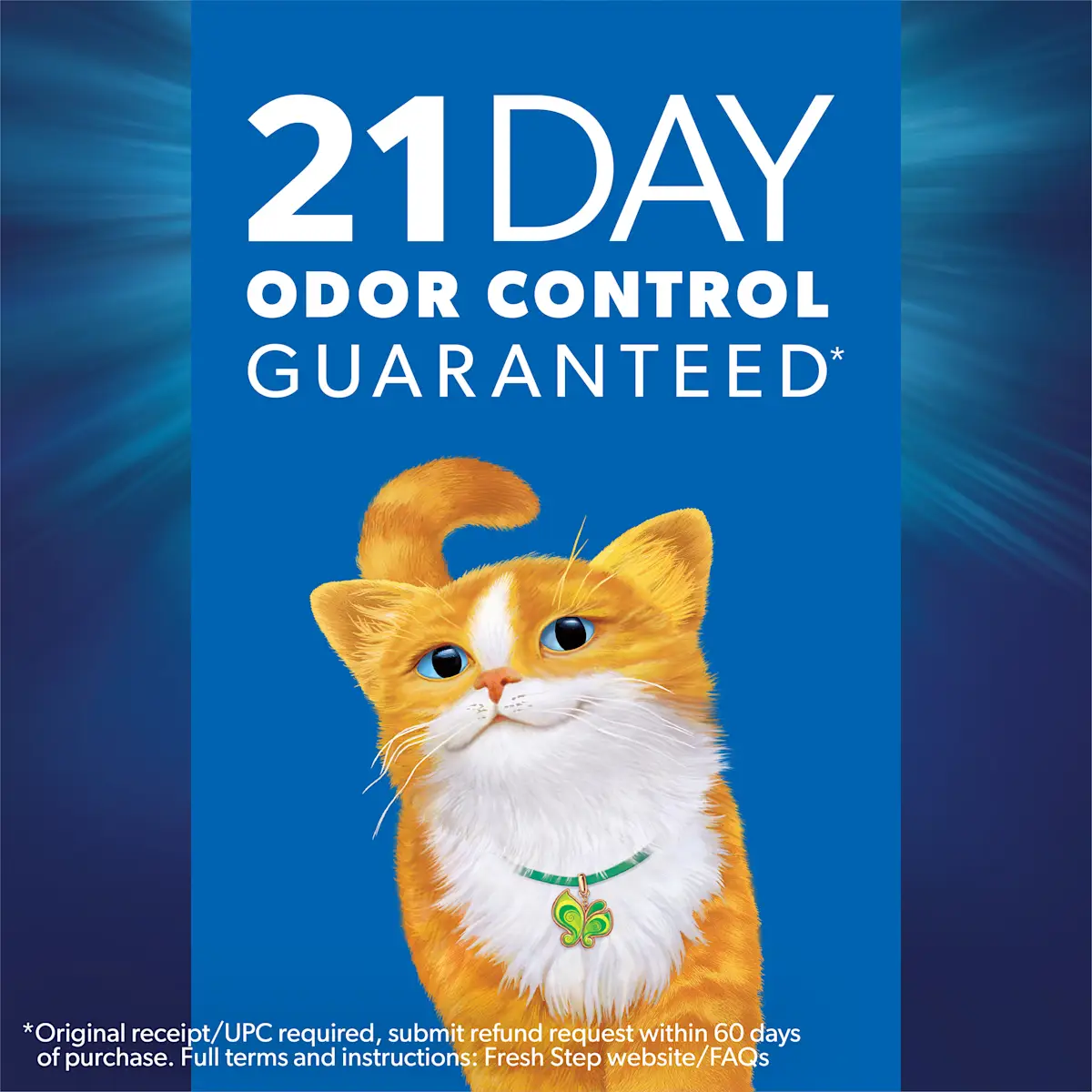 21 day odor control guaranteed, an orange cat