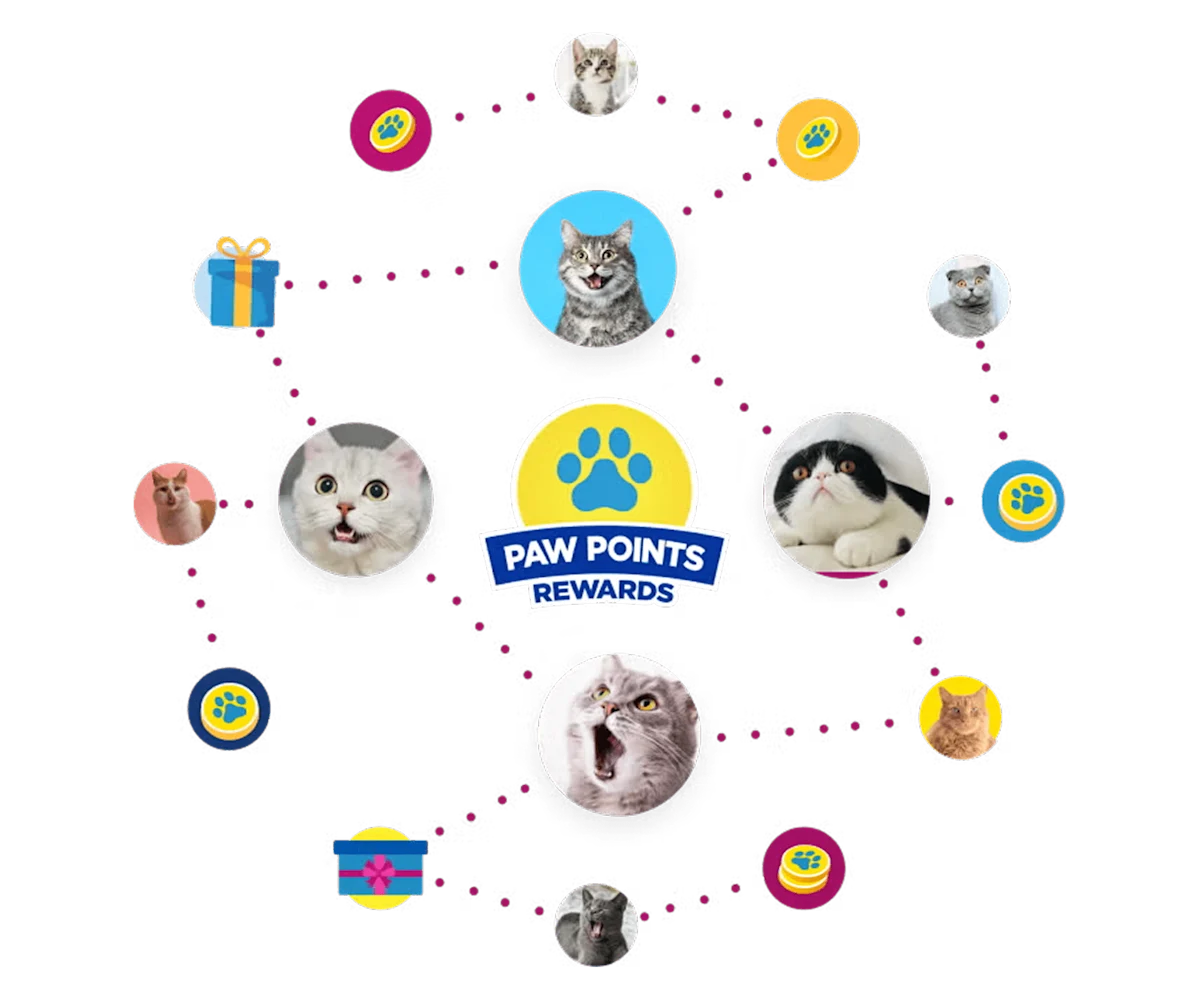 Pictures of cats in circles with pictures and drawings of car todays and gifts floating around them