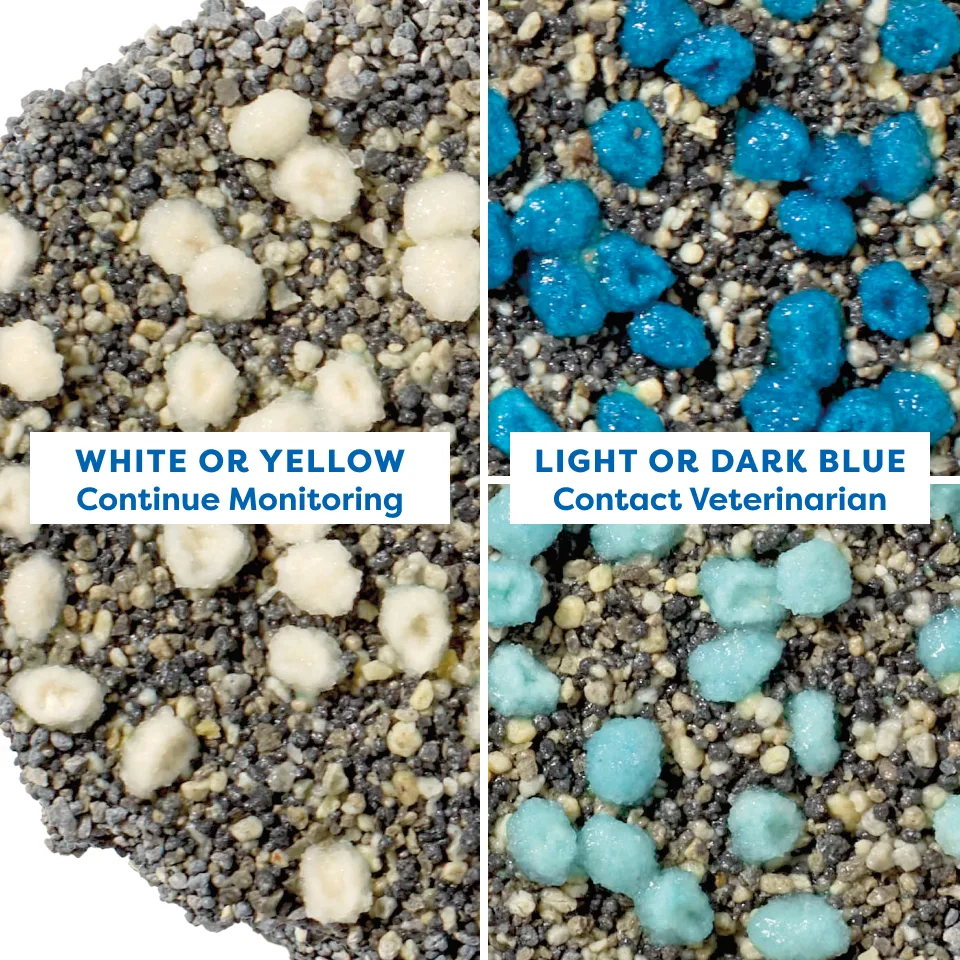 easy to monitor: comparison of white to dark blue granules in the litter