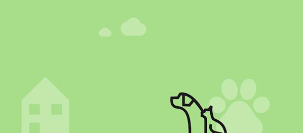 Confused.com Pet Insurance