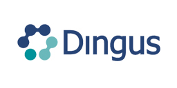 Dingus