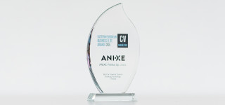 Business Elite Eastern European Award 2016 Winners: ANIXE