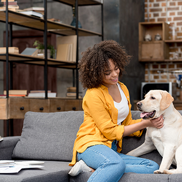 Things to look out for when buying an old house