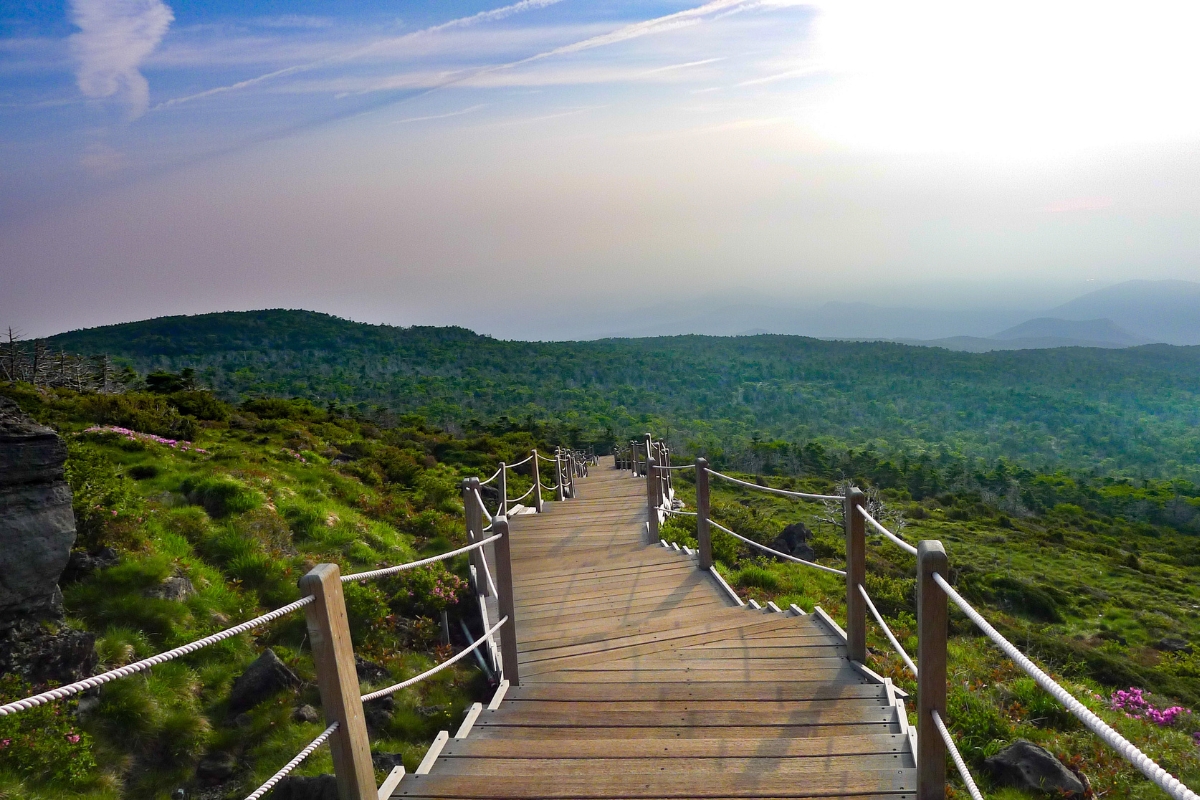 Hallasan National Park is home to South Korea’s tallest mountain.