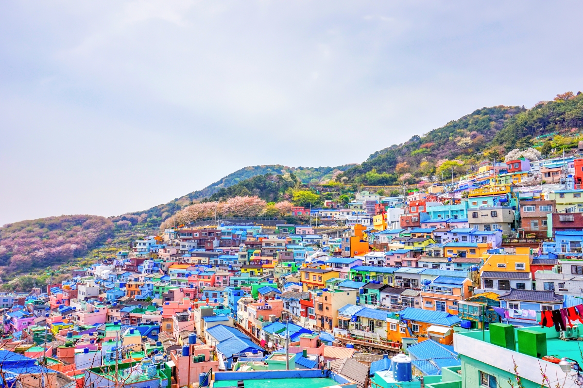 Gamcheon Culture Village is easily recognizable for it's brightly painted homes.