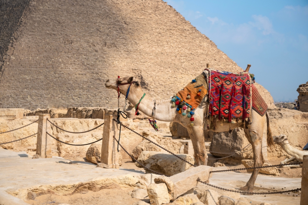 The amazing scenes of Cairo, Egypt. (Photo: Matias Sepulveda)