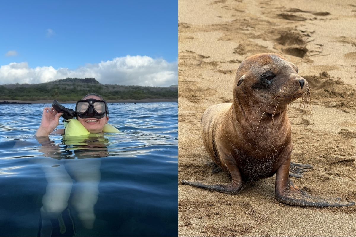 A day of snorkeling with sea lions on Floreana Island! (Photo: Melissa Dreffs)