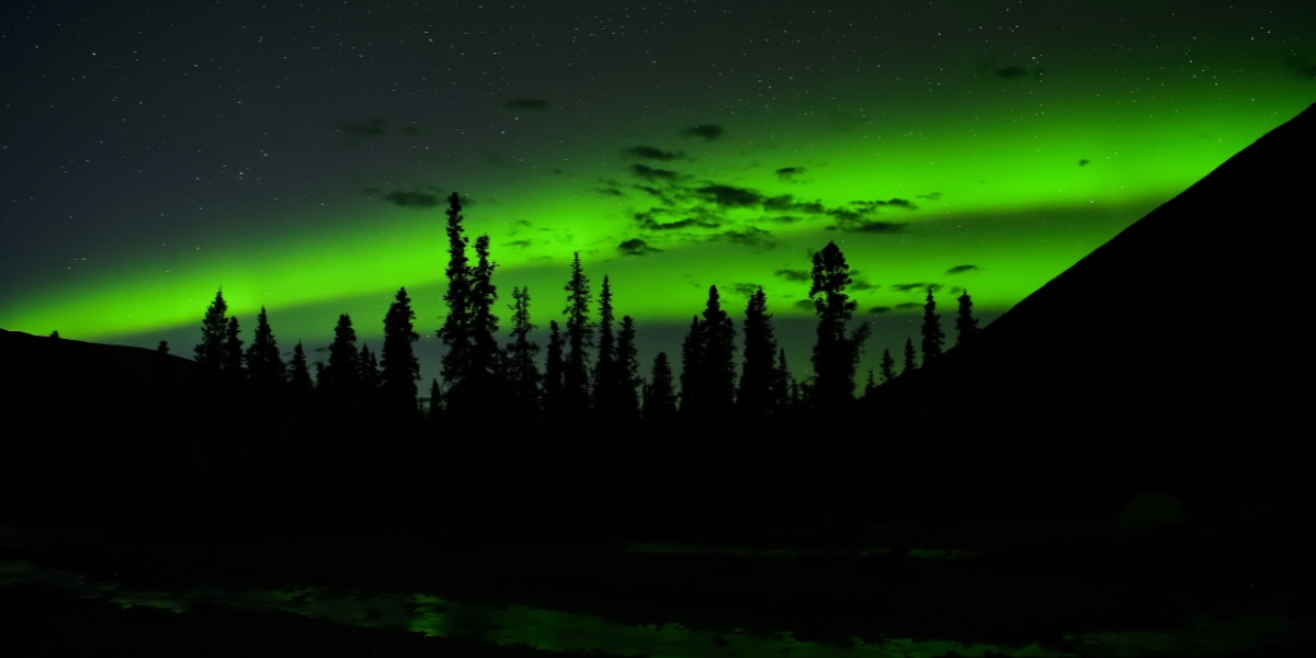 Green northern lights, aurora borealis, and stars in Denali National Park, Alaska