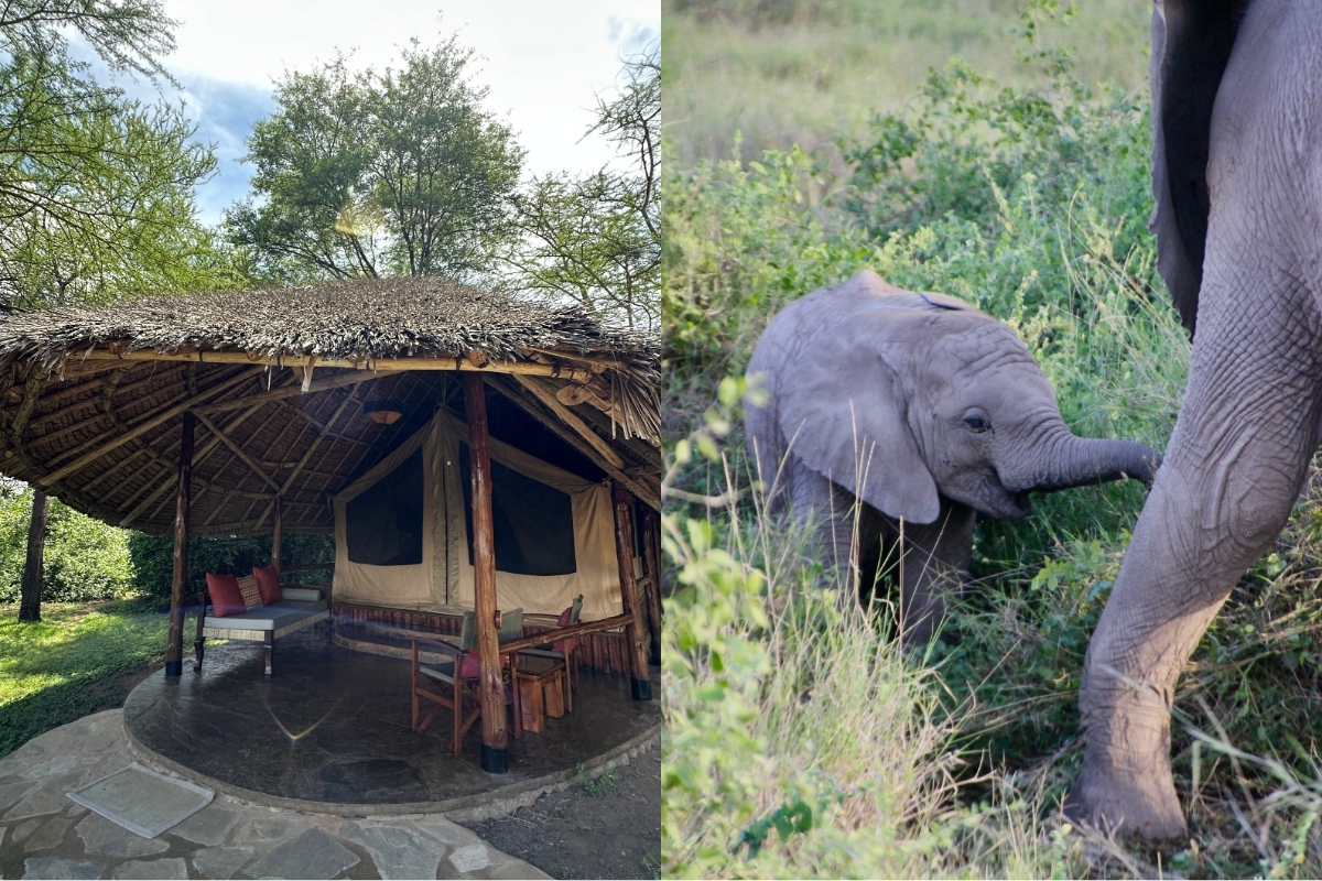 Settling into Tortilis Camp before heading out to spot our first elephants in Amboseli. (Photo: Isabel Falls)