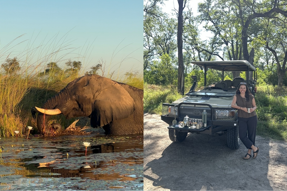Scenes from our time in Moremi Game Reserve. (Photo: Isabel Falls)