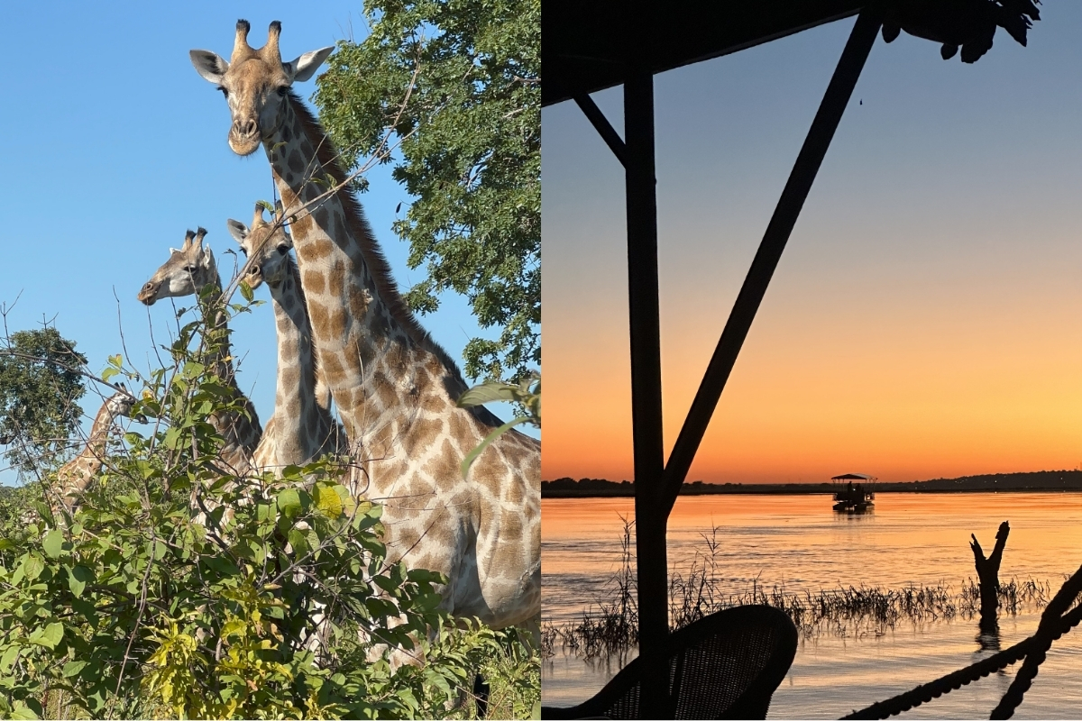 Chobe National Park: unique wildlife and sunset cruises along the Chobe River. (Photo: Isabel Falls)