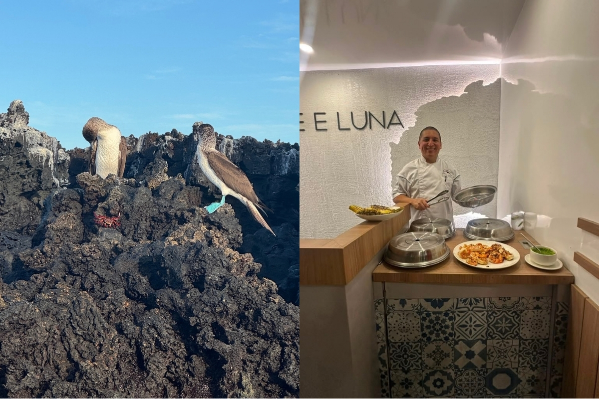 Spotting the famous blue-footed boobies and saying farewell to the amazing crew onboard the Hermès (Photo: Diana Kestner).