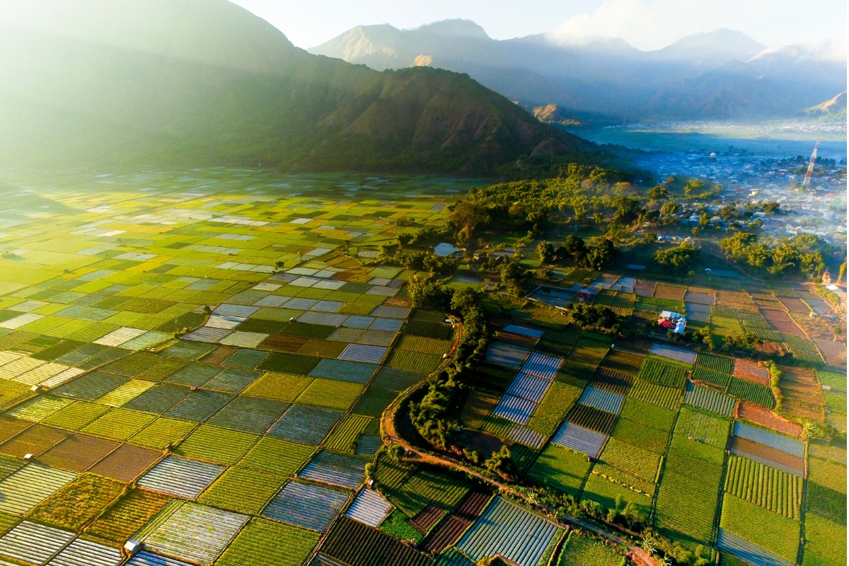 Sembalun Lombok Indonesia