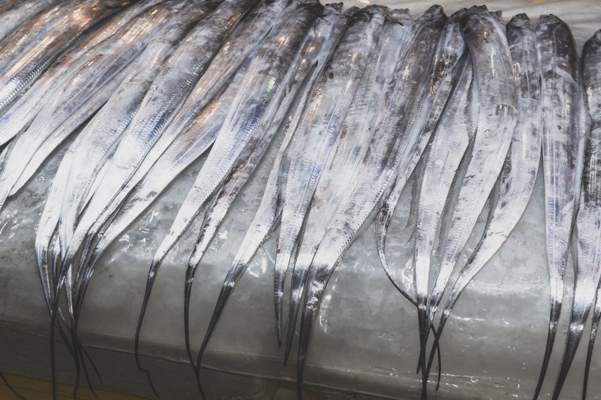 Hairtail fish in Dongmun Market located in Jeju, South Korea.