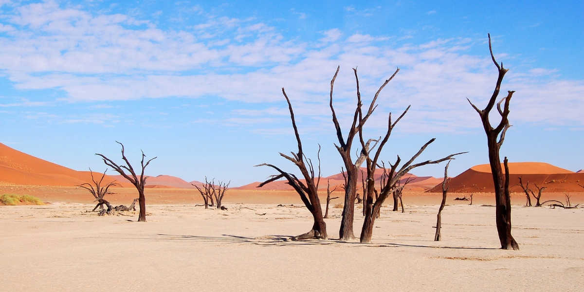 Dead trees in Deadvlei, Sossusvlei, Namibia