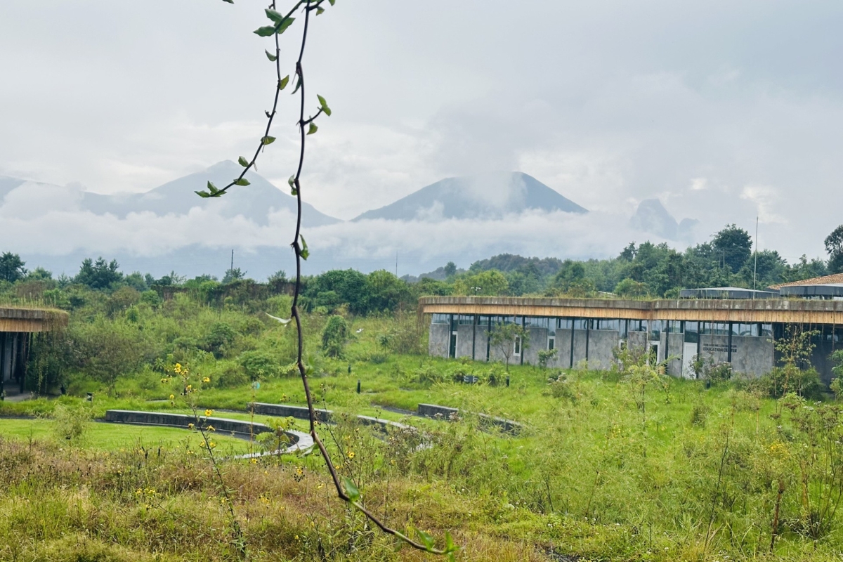 The Ellen DeGeneres Campus of the Dian Fossey Gorilla Fund with volcano views (Photo: Megan Ribeiro).
