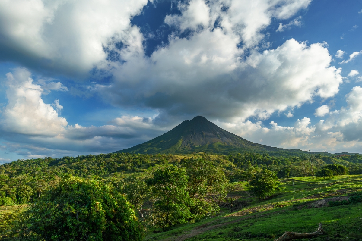 Costa Rica’s forests, once nearly lost, now thrive thanks to bold policy, local stewardship, and the power of eco-tourism.