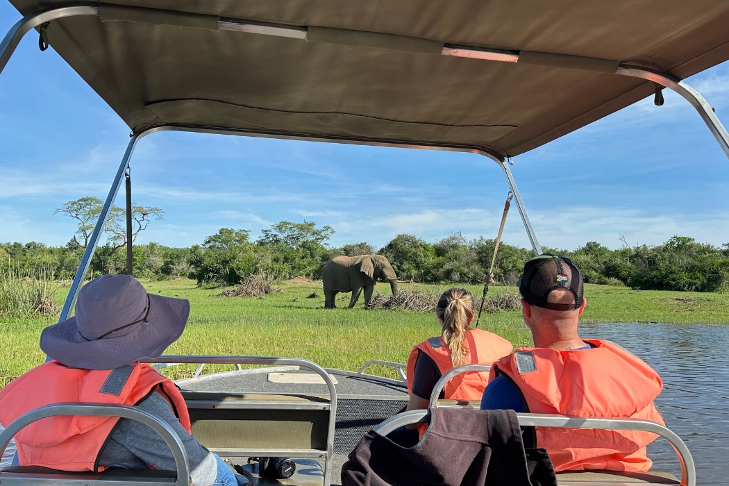 Spotting wildlife a different way this time: by boat! (Photo: Isabel Falls)