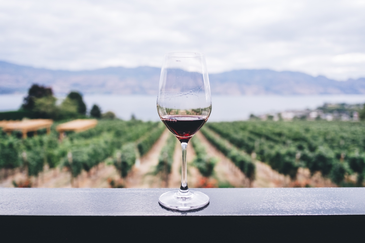Rich reds and crisp whites reflect the artistry of Spain’s renowned wine culture.