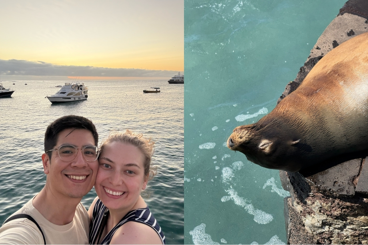 Starting our cruise off with sea lions and sunset views! (Photo: Melissa Dreffs)