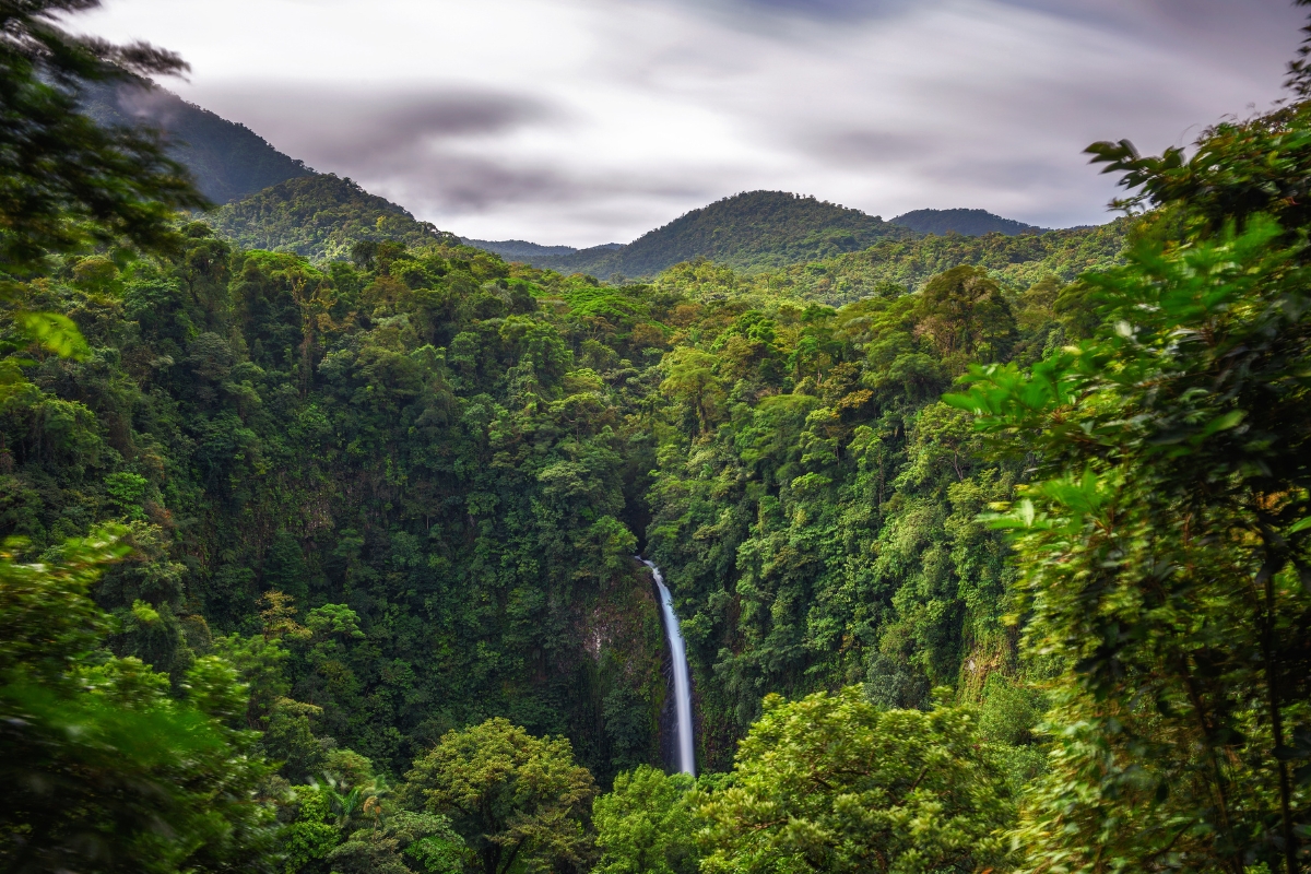 Discover the living corridors of Costa Rica’s forests, where jaguars roam and conservation meets culture.