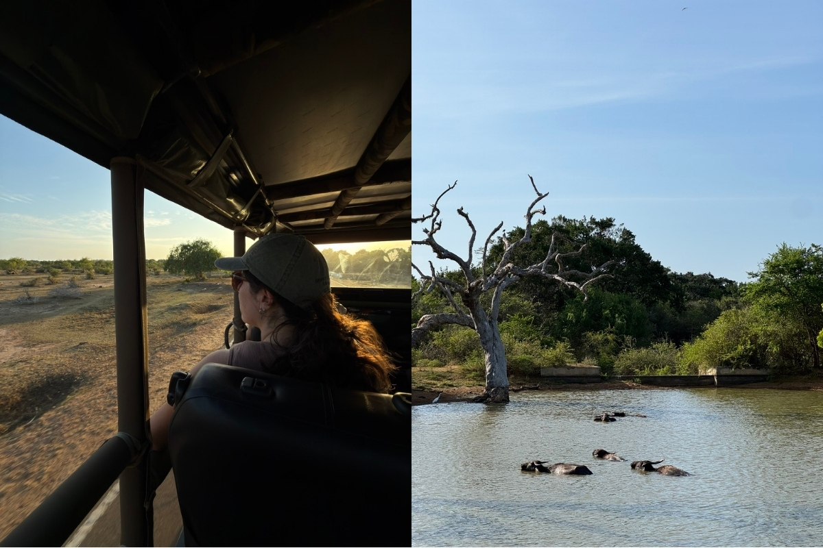 Yala National Park, Sri Lanka (Photo: Pilar Ceniceroz).