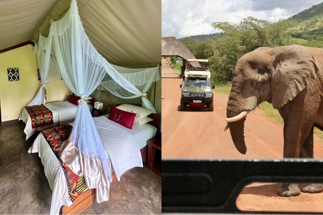 Our stay in Akagera National Park and our first elephant encounter! (Photo: Isabel Falls)