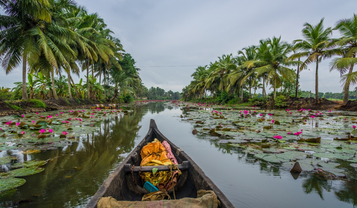 Canoeing backwaters of Kerala, India