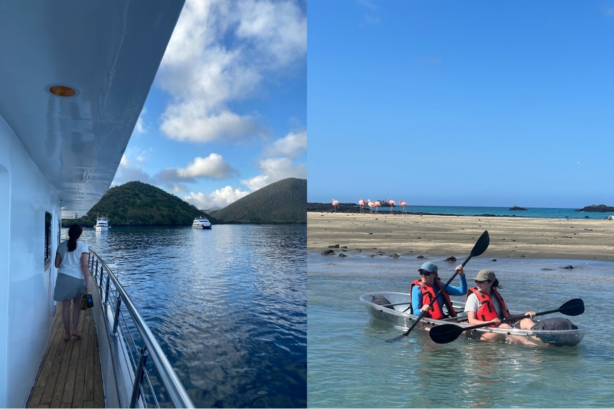 Our luxury cruise adventure and an unforgettable encounter with the rare American flamingo! (Photo: Pilar Ceniceroz)