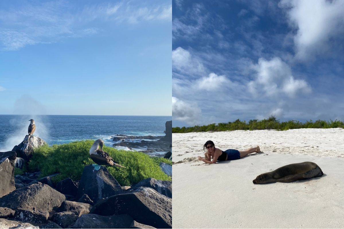 Sun bathing with seals while enjoying the view! (Photo: Pilar Ceniceroz)