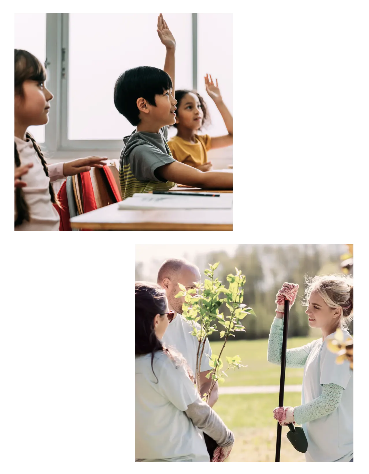Children in classroom and volunteers planting trees