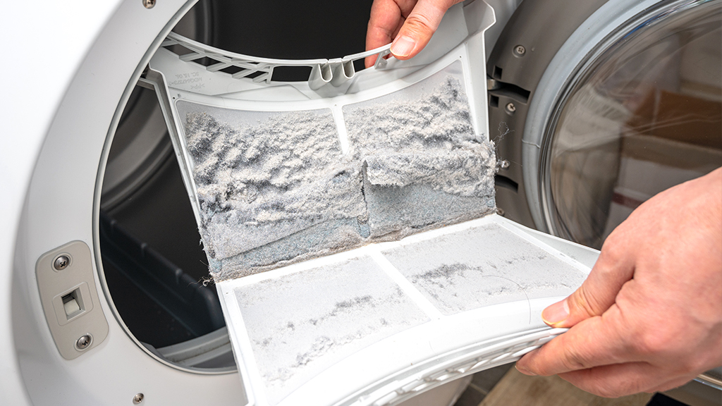 Dryer filter that needs to be cleaned