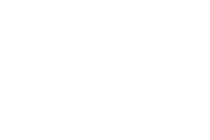 Sguang logo