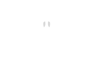 Diego Viada logo