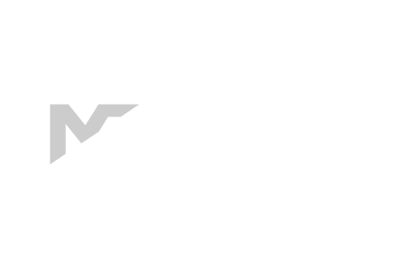 Merlo Group logo